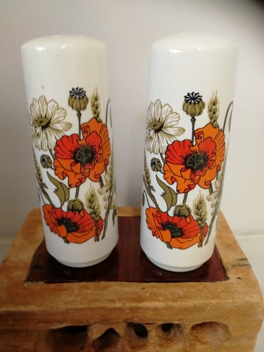 Salt pepper shakers pots - salt,