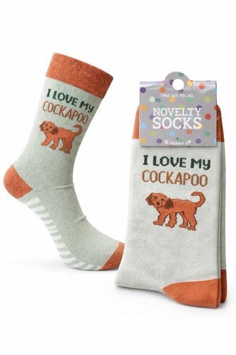 Love cockapoo pet - my,