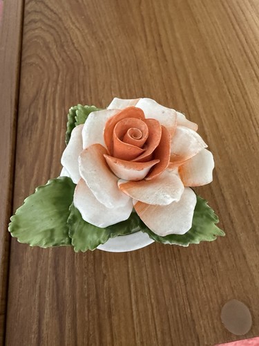 Royal adderley floral pot - royal,