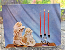 Vtg Ginger Cats Kittens Candles Used Christmas Greeting Card (EB10351)