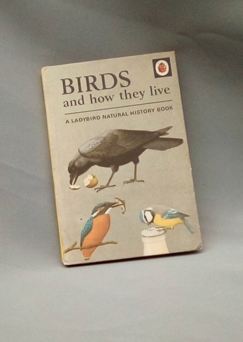 Birds and how they live