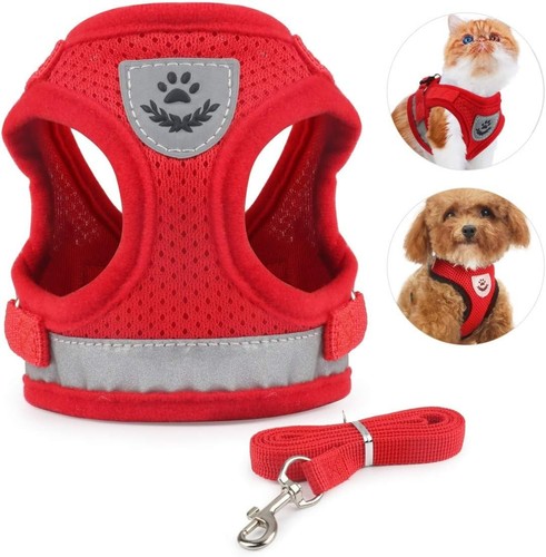 Pet cat dog harness - dog, &