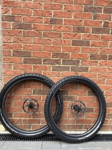 Hunt proven carbon - proven, trail