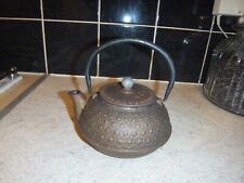 Traditional Japanese Cast Iron Teapot Tea Pot Kettle 500ml