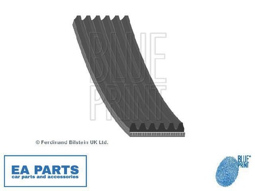 Ribbed belts for nissan - belts,