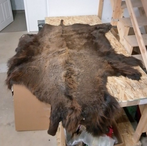 Buffalo bison hide rug fur - hide,