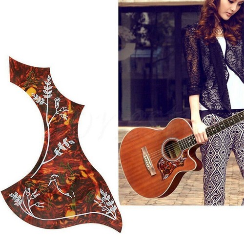 1pcs acoustic guitar - 1pcs,