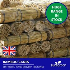 Professional Heavy Duty Extra Strong Bamboo Plant Support Garden Thick Canes