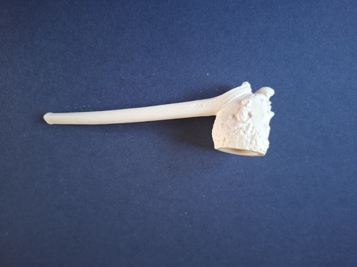 Antique clay pipe - clay, pipe.