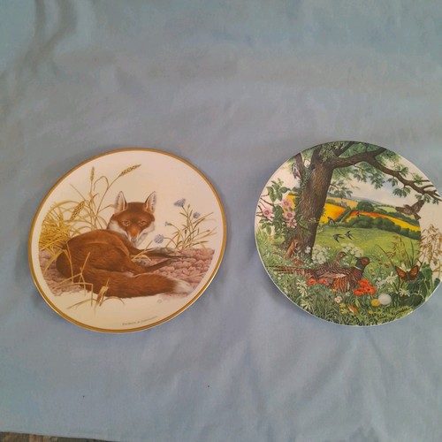 Wedgwood collectors plates - 2,