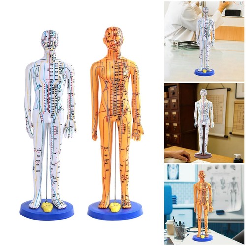 Chinese medical acupuncture - medical,
