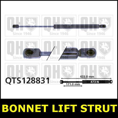 Bonnet damper strut for - damper,