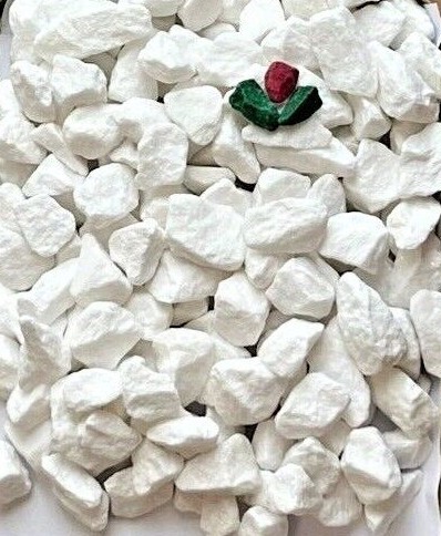 Decorative extra white - extra, garden