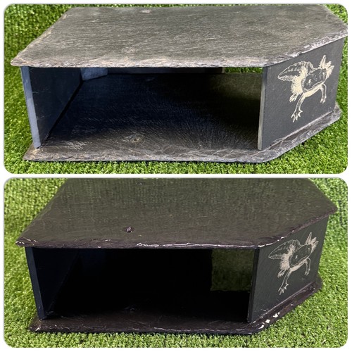 Big 9x30x20cm axolotl natural - big,