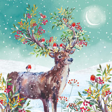 Christmas Cards Cats