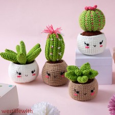 4PCS Cactus Beginners Starter