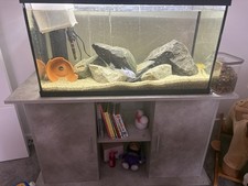 110 Litre Fish Tank And Stand Everything Included