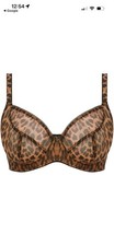 Freya Bravissimo Sheer Leopard
