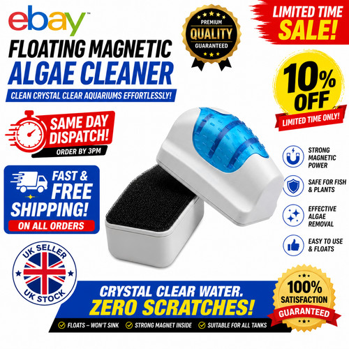 Floating magnetic algae - floating,