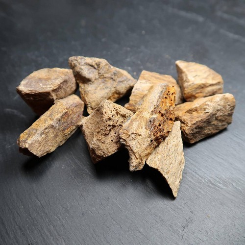 Woolly mammoth bone fragments - woolly,
