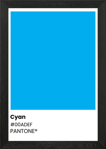 Cyan color swatch framed wall - swatch,