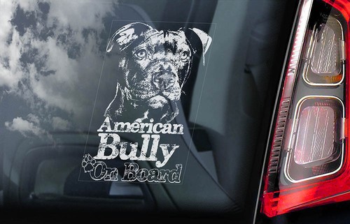 American bully car sticker - car,