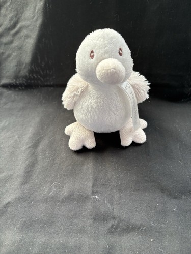 Happy horse bird chick - horse,
