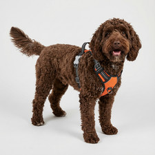 No Pull Dog Harness with 2