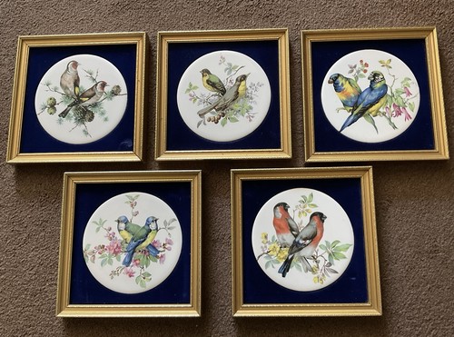 Vintage plaques birds antique - vintage,