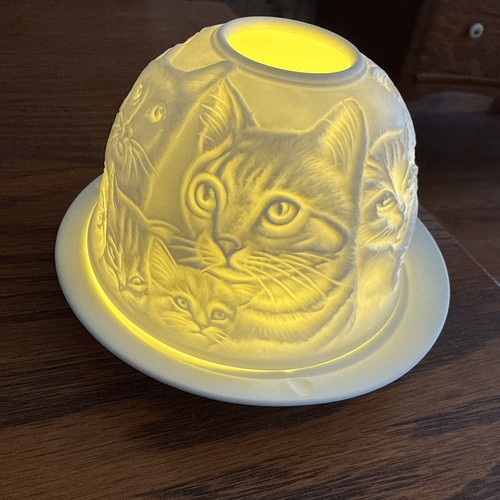 Beautiful design cats - beautiful, &