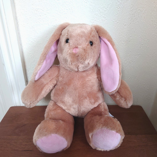 Build bear workshop pawlette - build,