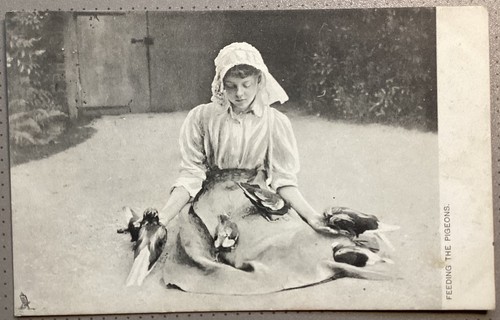 Victorian young woman pigeons - victorian,