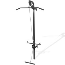 Wall-mounted Home Gym with 2