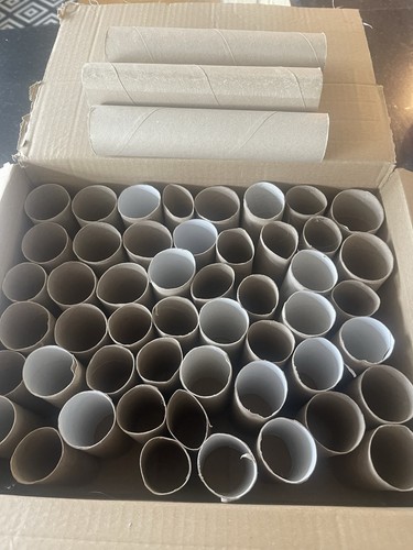 Empty cardboard toilet - 50,