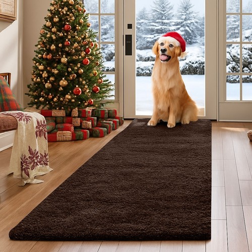 Long hallway runner rug - hallway,