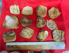 12x Somme dug up 1918 English