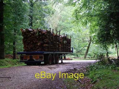 Photo 6x4 timber trailer - photo,