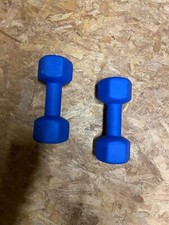 2x RUBBER GYM WEIGHTED