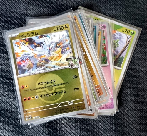 Pokemon tcg mega - tcg,