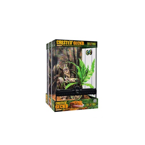 Exo terra crested gecko - terra,