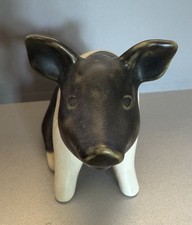 Saddleback Pig Yorkshire Art Studio Pottery Nichols Moorside Design Ornament