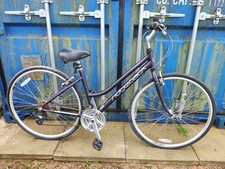 Ridgeback Motion Purple Ladies