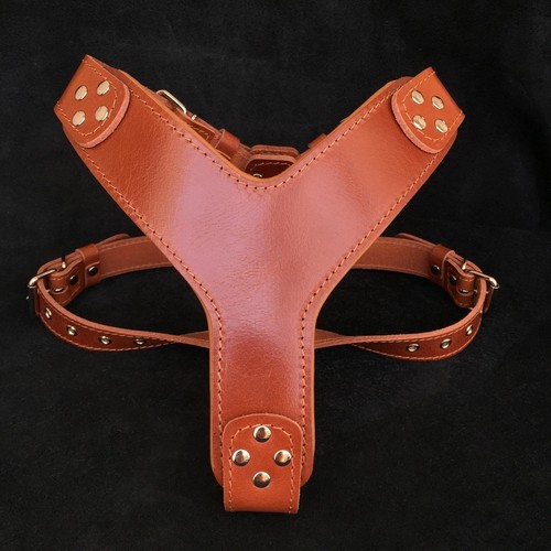 Bestia style leather dog - bestia,