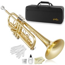 Bb Standard Trumpet, Brass