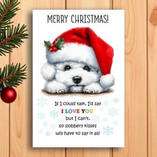Bichon Frise Christmas Card