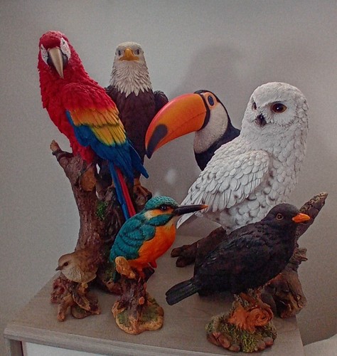 Vivid arts model bird - arts,