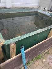 Big Fish Tank For Sale. Need