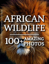 African Wildlife Photography