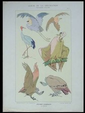 BIRDS - 1901 PRINT -  FRENCH