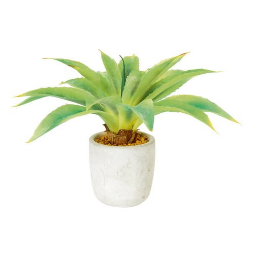 Artificial cactus succulent - cactus,